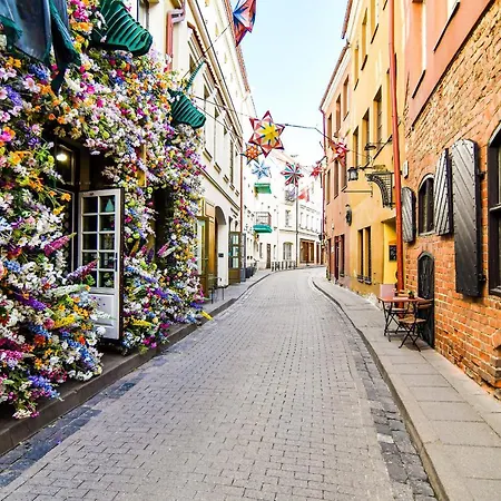 Apartament Old Town Wilno